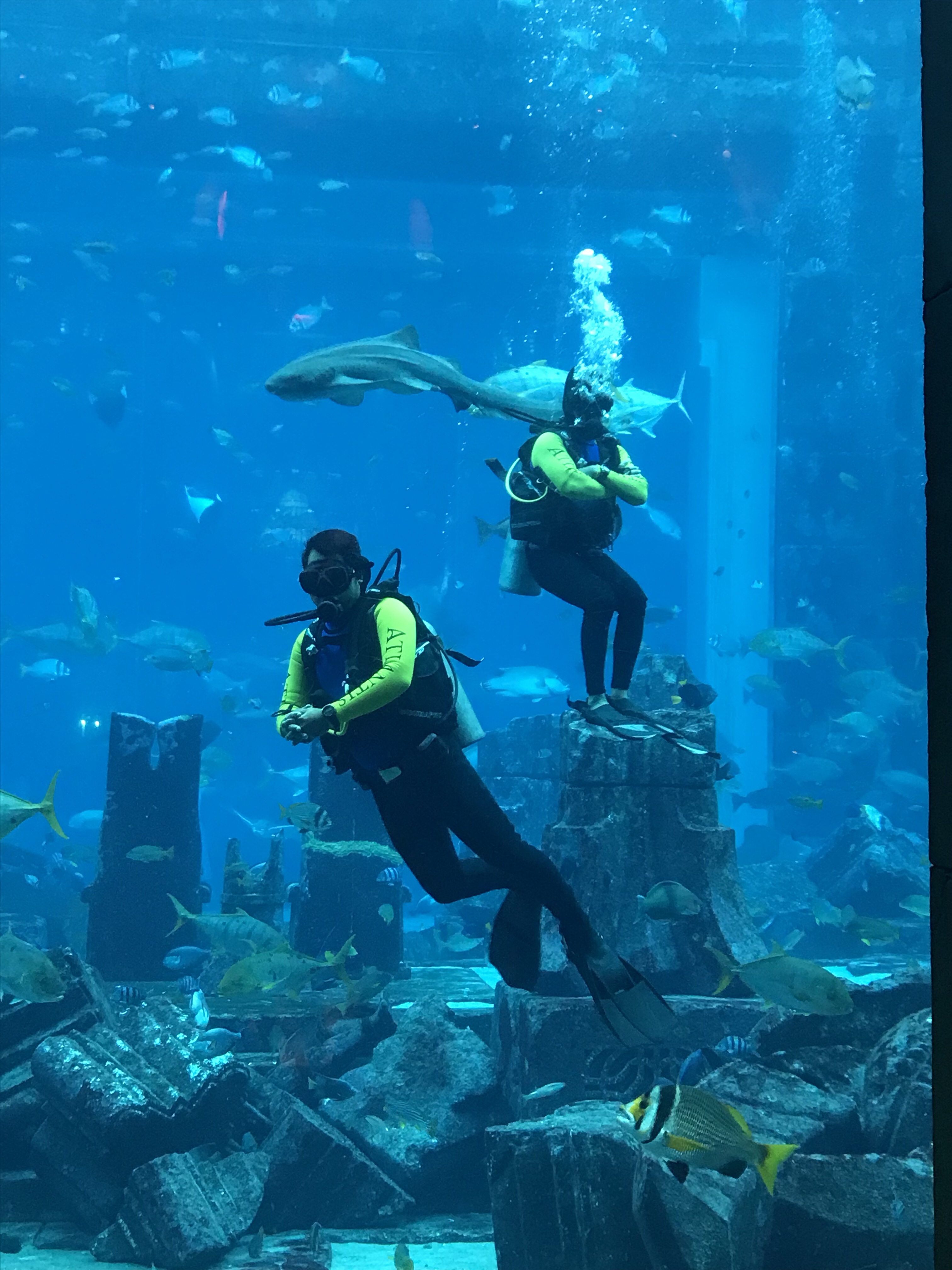 The Lost City of Atlantis aquarium 