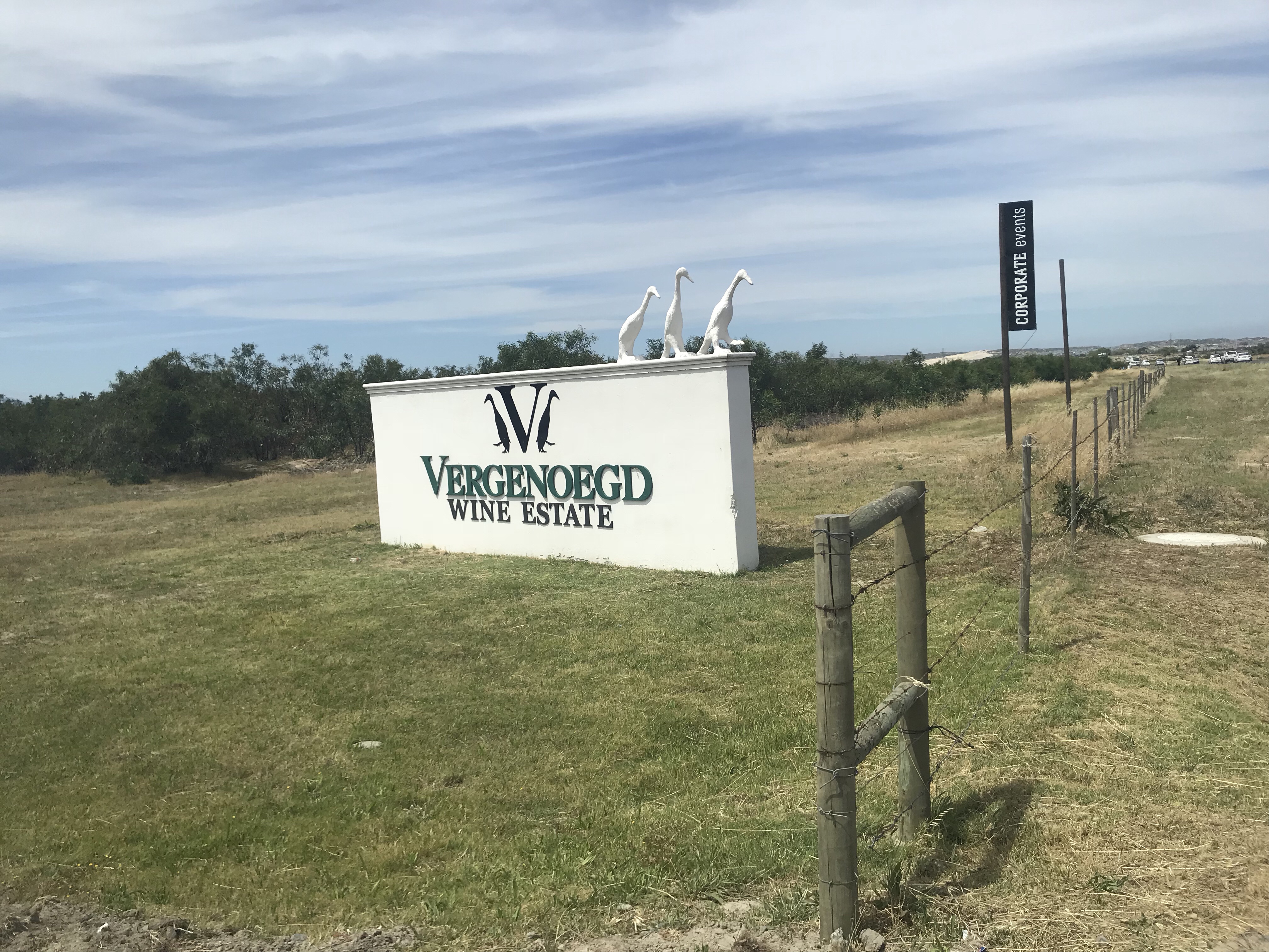 Vergenoegd Wine Estate - Stellenbosch wine tour 
