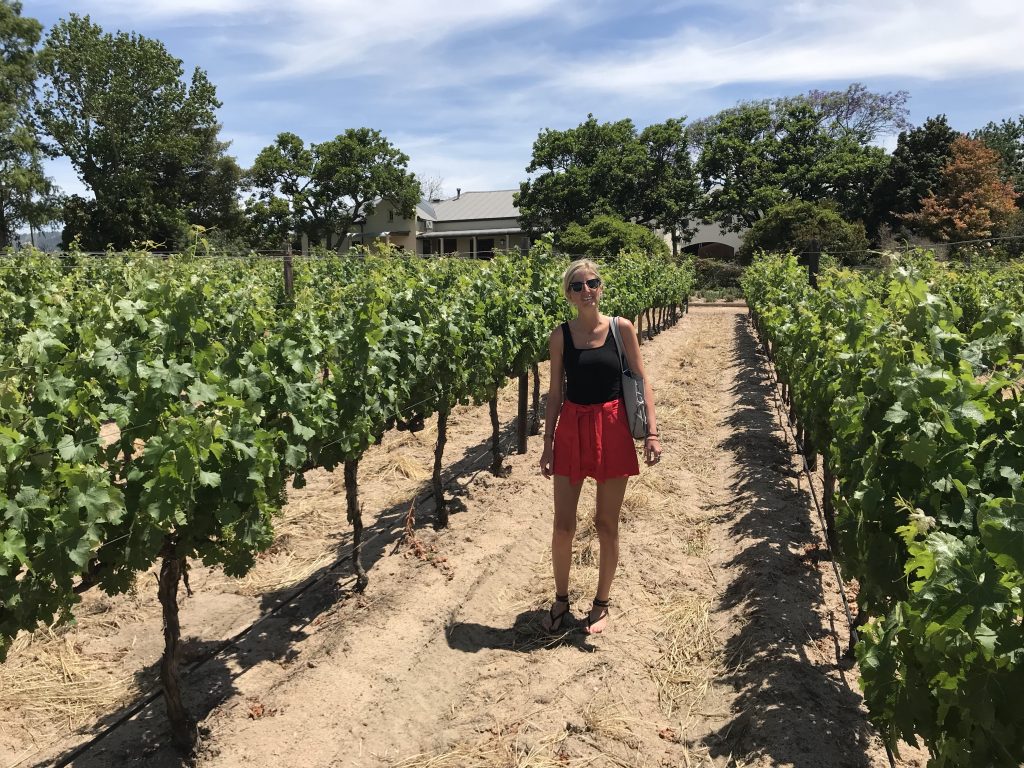 Laura at Lovane vineyard