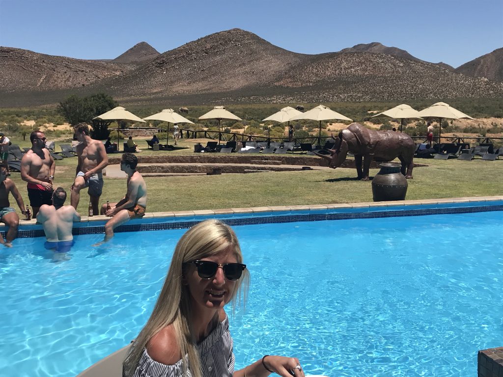 Lunch alongside the swimming pool with two elephants plodding along in the background